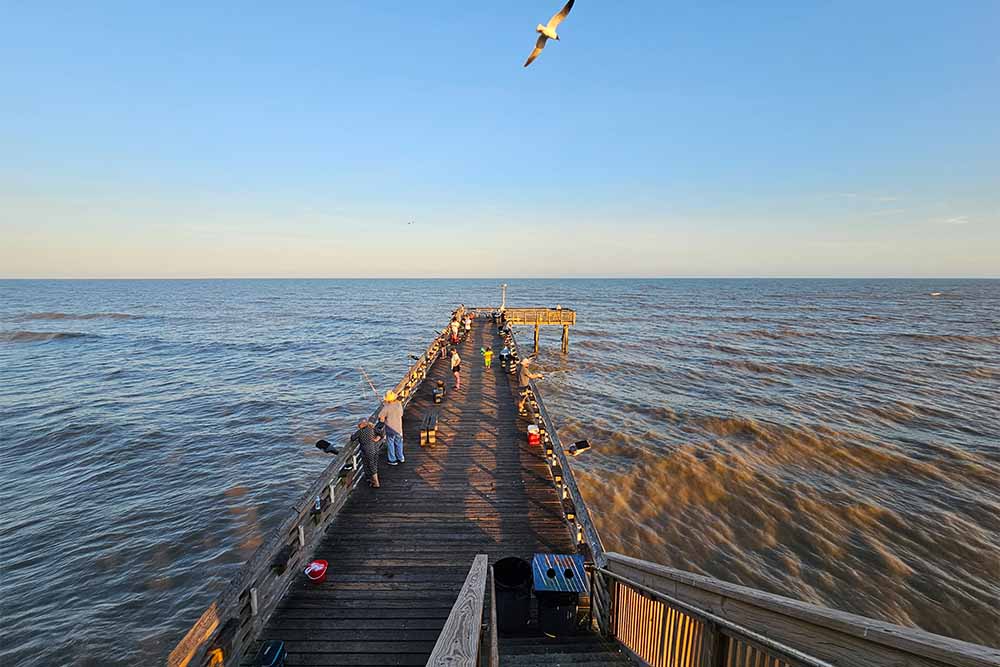 61st St Fishing Pier Great Fishing Pier with so many fish waiting